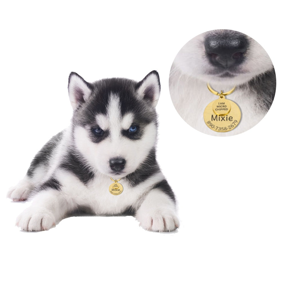 Personalized Pet ID Tag & Keychain - Engraved Collar Accessory for Dogs and Cats - Pets Personalized