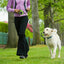 Smart Retractable Dog Leash - Tangle-Free Control