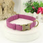 Personalized Anti-Lost Dog Collar with Engraved Tag - Pets Personalized