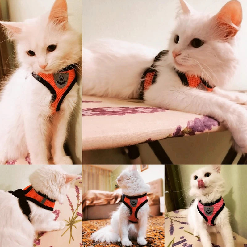 Adjustable Cat & Puppy Dog Harness with Reflective Leash - Pets Personalized