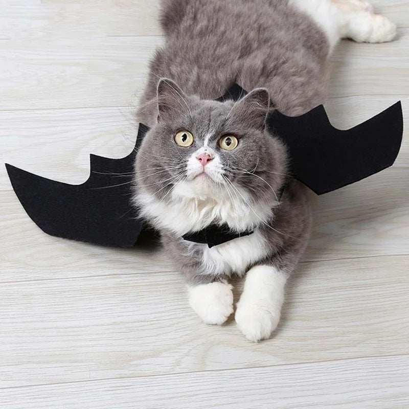 Halloween Bat Wings Costume for Cats & Dogs – Spooky, Fun, and Easy to Wear - Pets Personalized