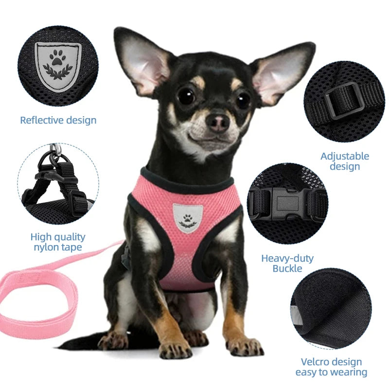 Adjustable Cat & Puppy Dog Harness with Reflective Leash - Pets Personalized