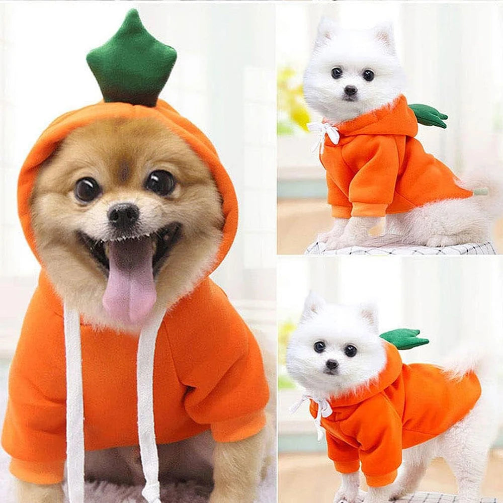 Fruit-Themed Hoodie for Dogs and Cats - Pets Personalized