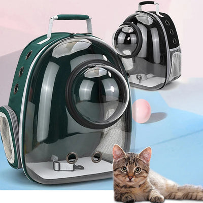 Transparent Pet Carrier Backpack for Cats & Small Dogs - Pets Personalized