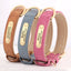 Personalized Engraved PU Leather Dog Collar - Pets Personalized