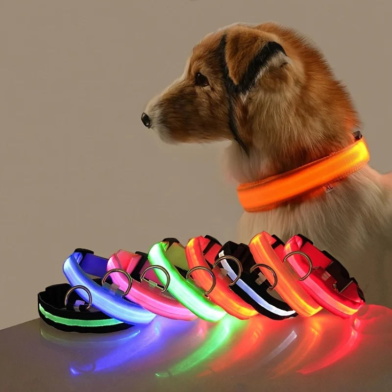 LED Glow-in-the-Dark Nylon Dog Collar - Pets Personalized