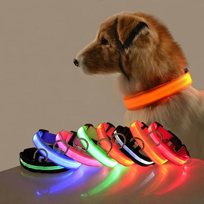 LED Glow-in-the-Dark Nylon Dog Collar - Pets Personalized