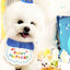 Pet Birthday Hat and Bib Set - Pets Personalized