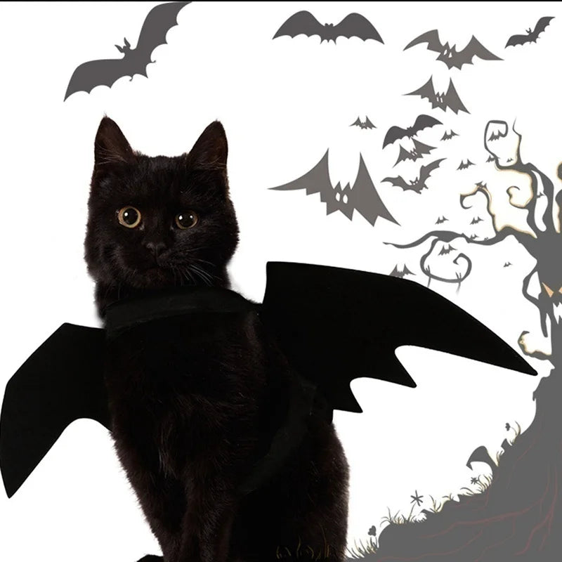 Halloween Bat Wings Costume for Cats & Dogs – Spooky, Fun, and Easy to Wear - Pets Personalized