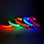 LED Glow-in-the-Dark Nylon Dog Collar - Pets Personalized