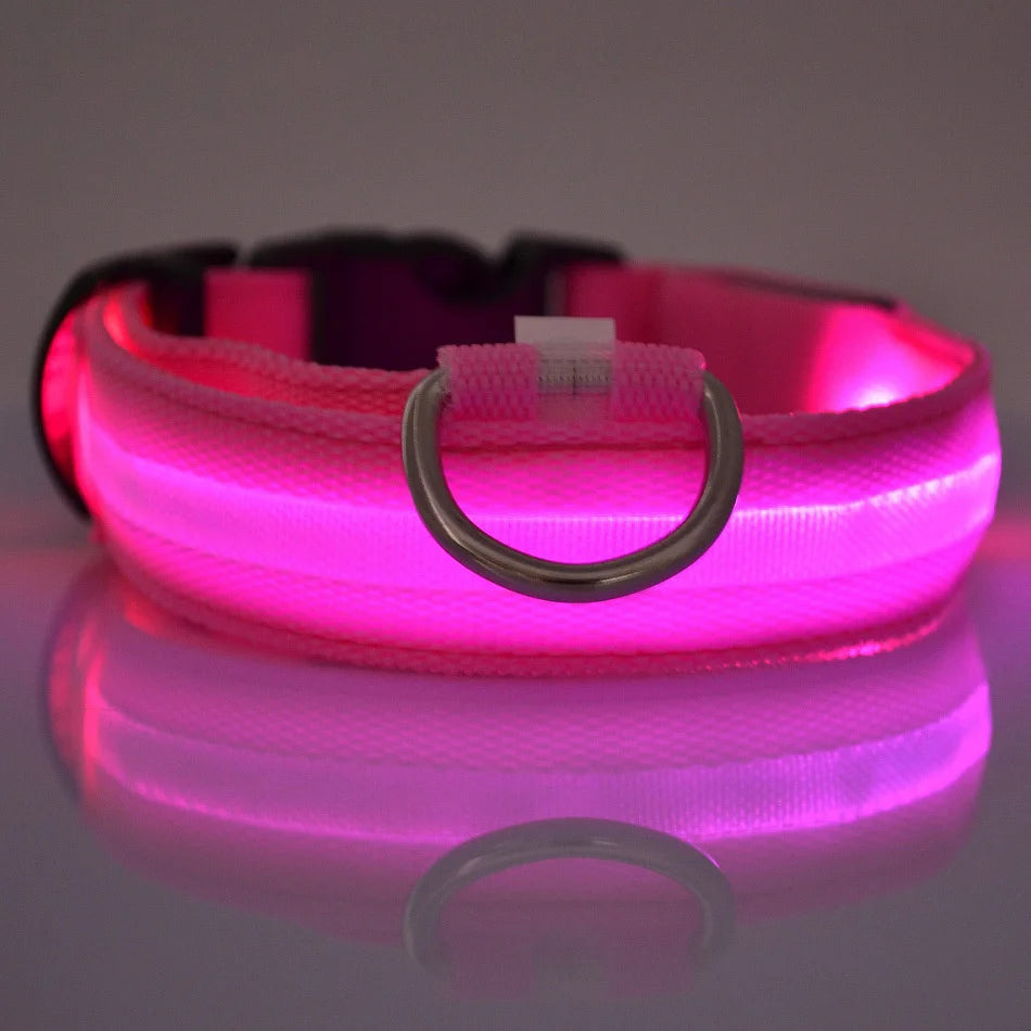 LED Glow-in-the-Dark Nylon Dog Collar - Pets Personalized