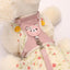 Small Dog and Cat Bear-Themed Leash and Harness Set - Pets Personalized