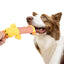 Plush Squeak Chew Toys for Pets - Pets Personalized