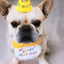 Pet Birthday Hat and Bib Set - Pets Personalized