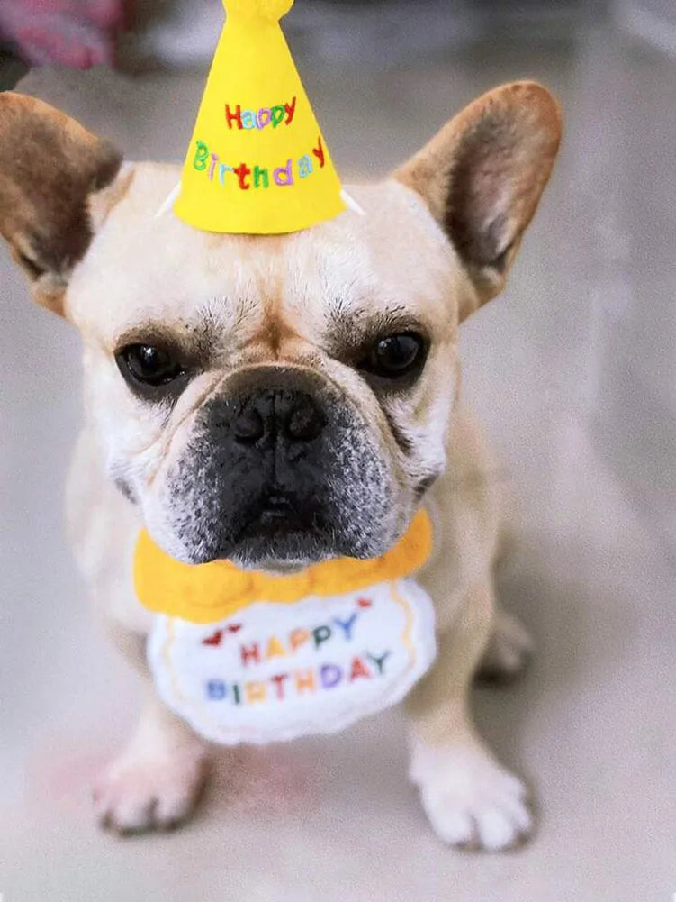 Pet Birthday Hat and Bib Set - Pets Personalized