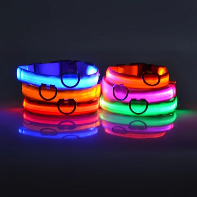 LED Glow-in-the-Dark Nylon Dog Collar - Pets Personalized