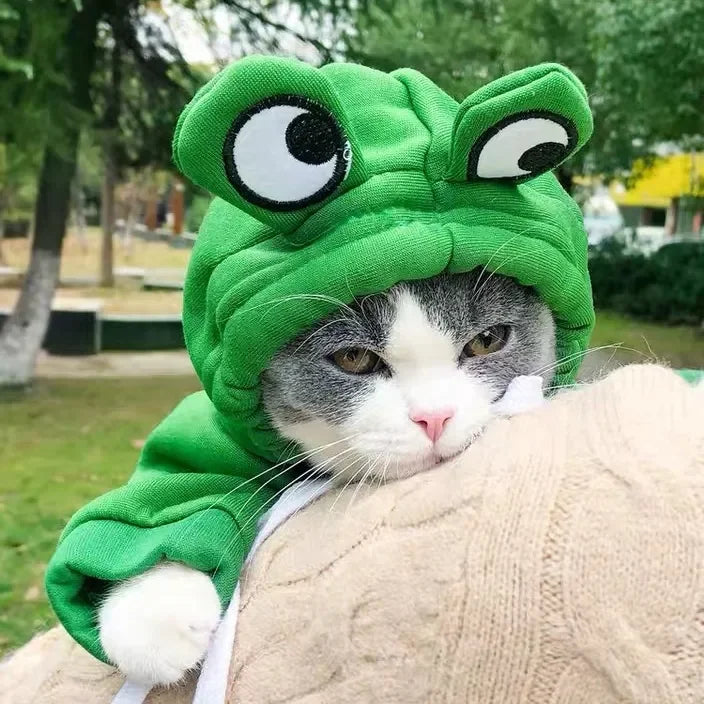 Adorable Frog Hoodie Costume for Pets – Warm, Fun, and Cozy - Pets Personalized