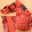 Adjustable Pet Bandana Collar - Triangle Neckerchief - Pets Personalized