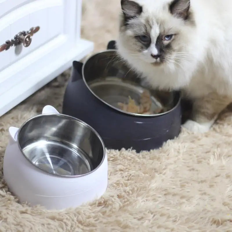 Tilted Raised Cat & Dog Bowl for Easy Eating - Pets Personalized