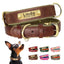 Custom Leather Dog Collar with Engraved Name Tag - Pets Personalized