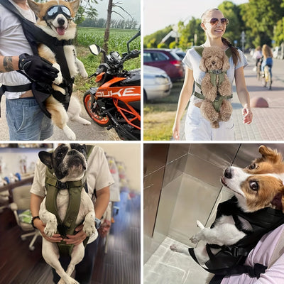 Hands-Free Adjustable Pet Carrier Backpack - Pets Personalized