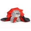 Halloween Vampire Cloak for Cats and Dogs - Pets Personalized