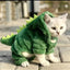 Dinosaur Cosplay Pet Hoodie – Warm Fleece Costume for Cats & Small Dogs - Pets Personalized