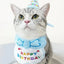 Pet Birthday Hat and Bib Set - Pets Personalized