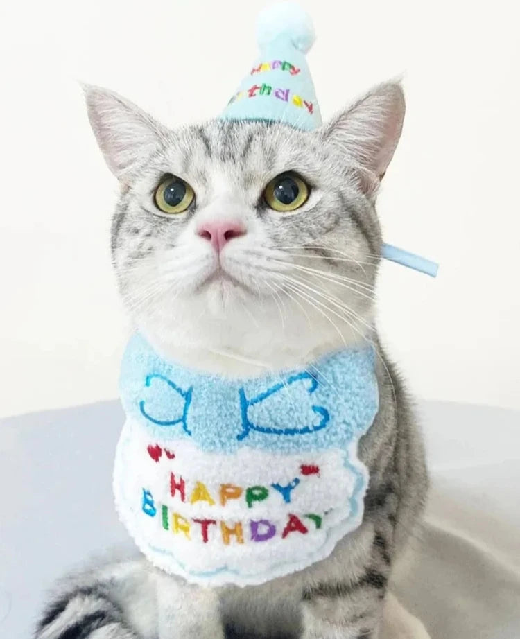 Pet Birthday Hat and Bib Set - Pets Personalized