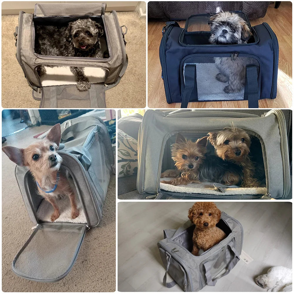 Airline Approved Pet Carrier Bag for Small Dogs & Cats - Pets Personalized