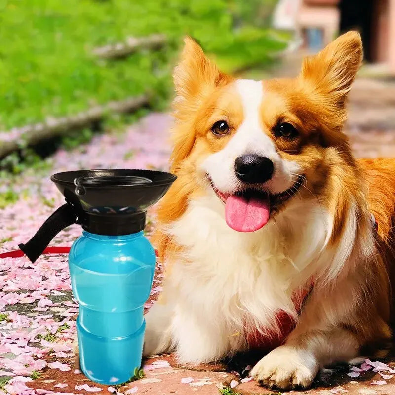 Portable Dog Water Bottle for Walks - Pets Personalized