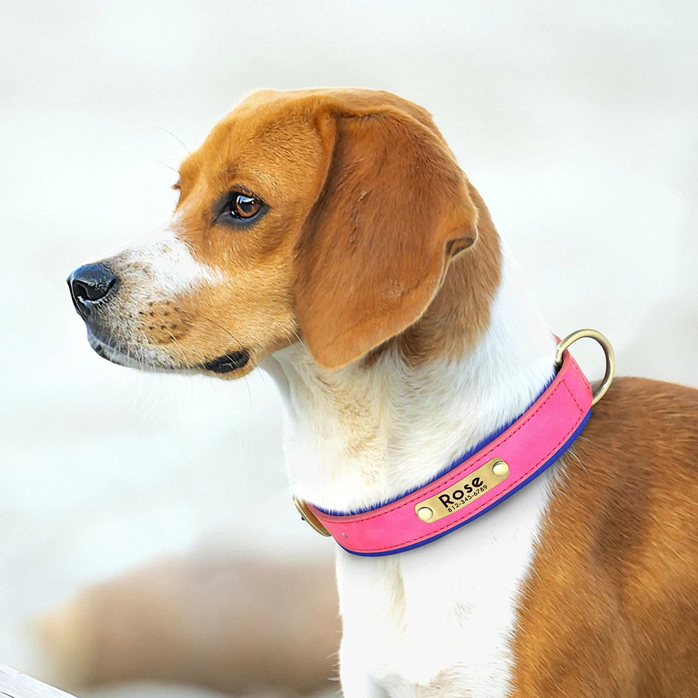 Custom Leather Dog Collar with Engraved Name Tag - Pets Personalized