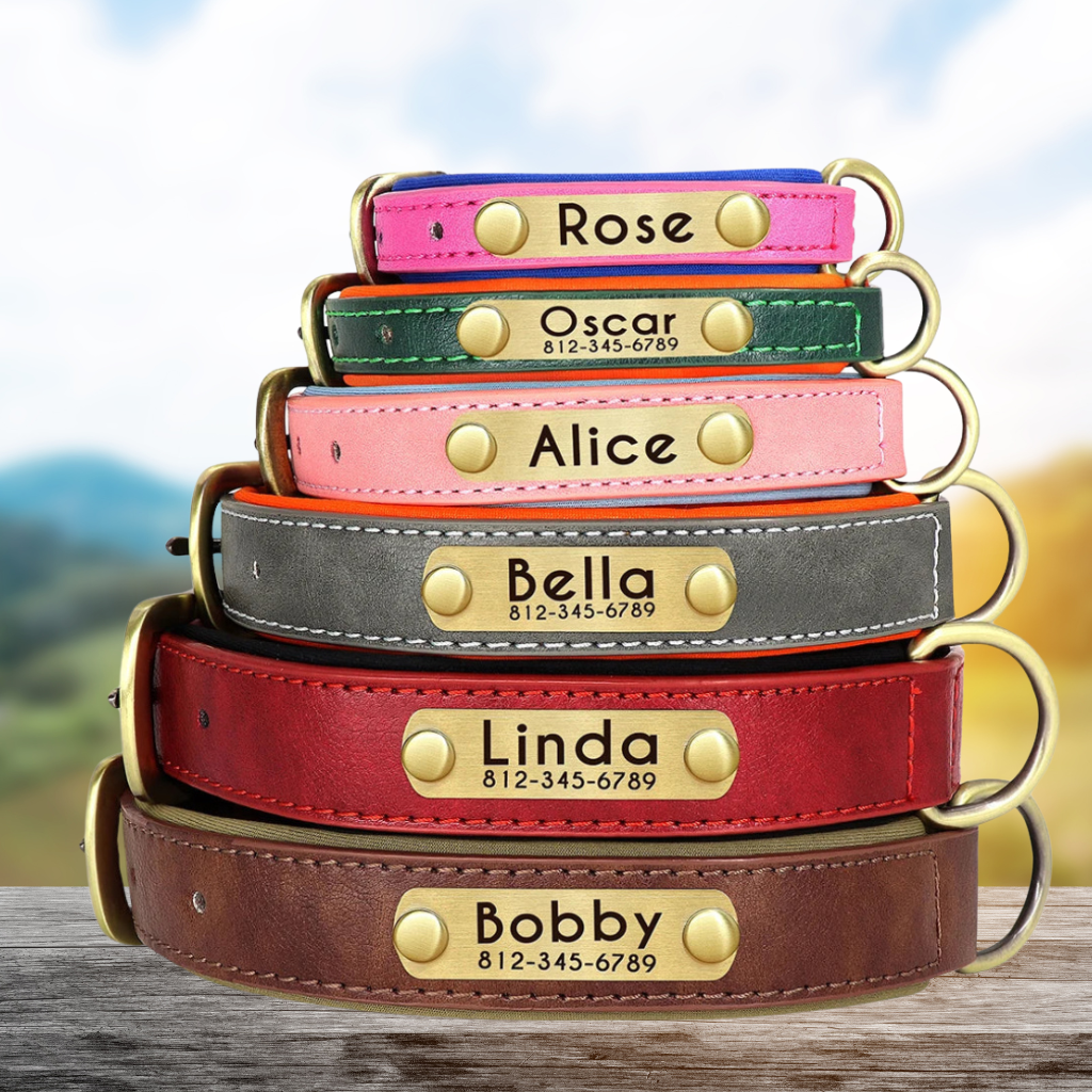 Custom Leather Dog Collar with Engraved Name Tag - Pets Personalized