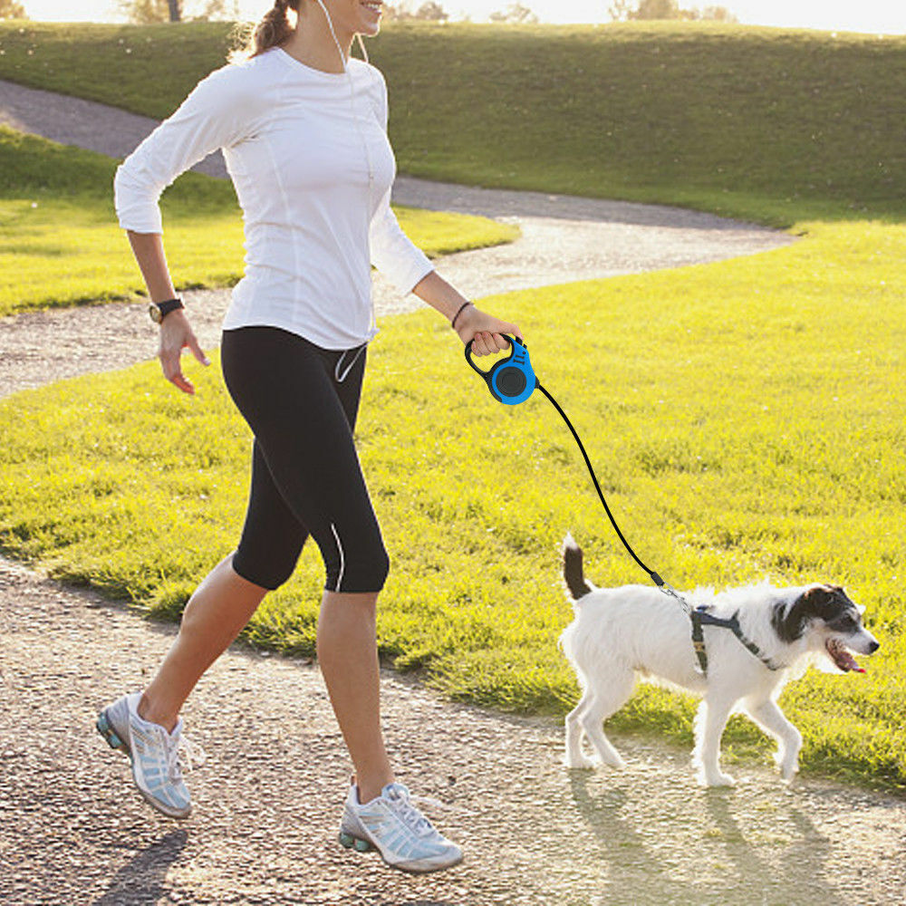 Smart Retractable Dog Leash - Tangle-Free Control