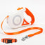 GlowSafe Retractable Dog Leash with Collar Set